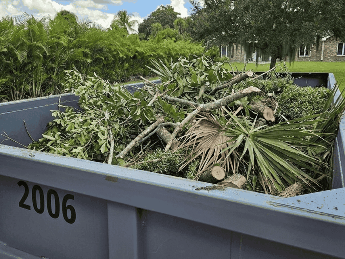 Roll-off dumpster loaded with cut tree limbs, palm fronds and brush