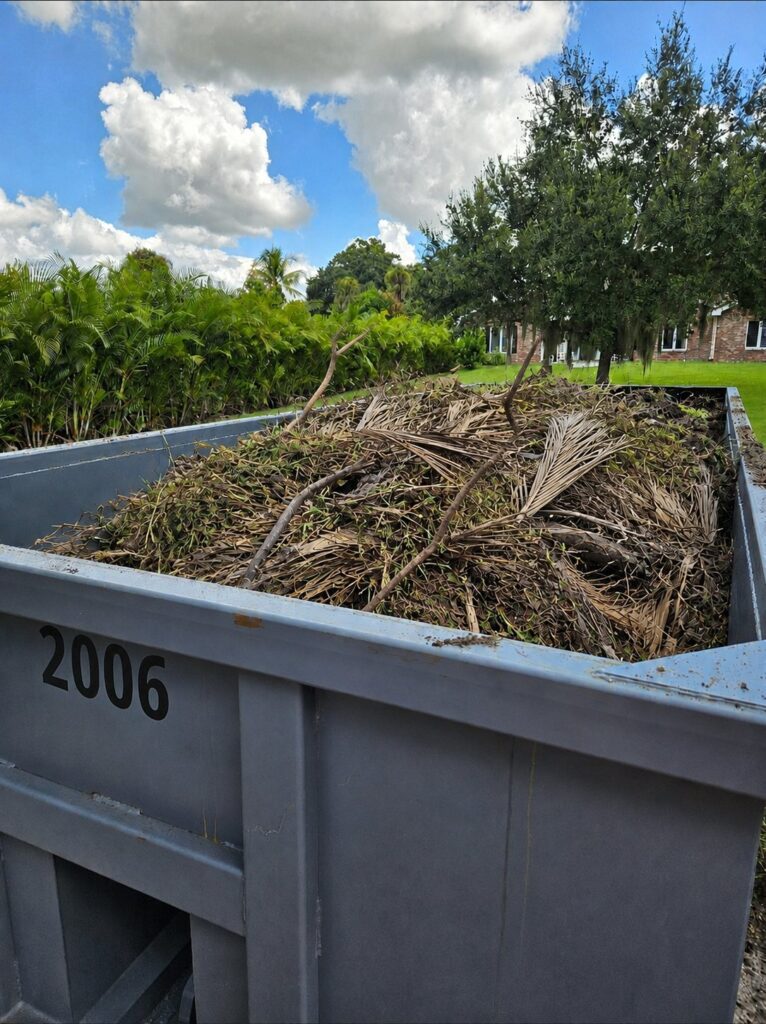 Roll-off container loaded with palm fronds, hedge trimmings and branches from yard work
